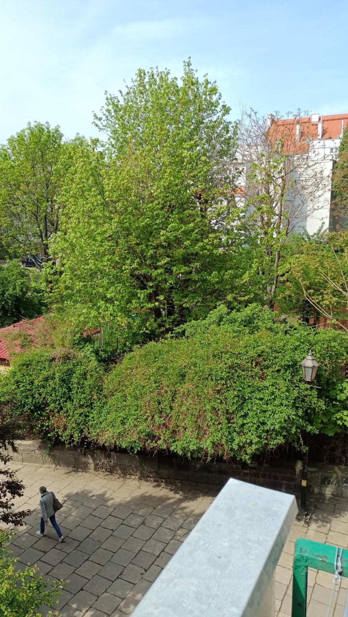 Kotlarska Apartment Вроцлав Екстериор снимка