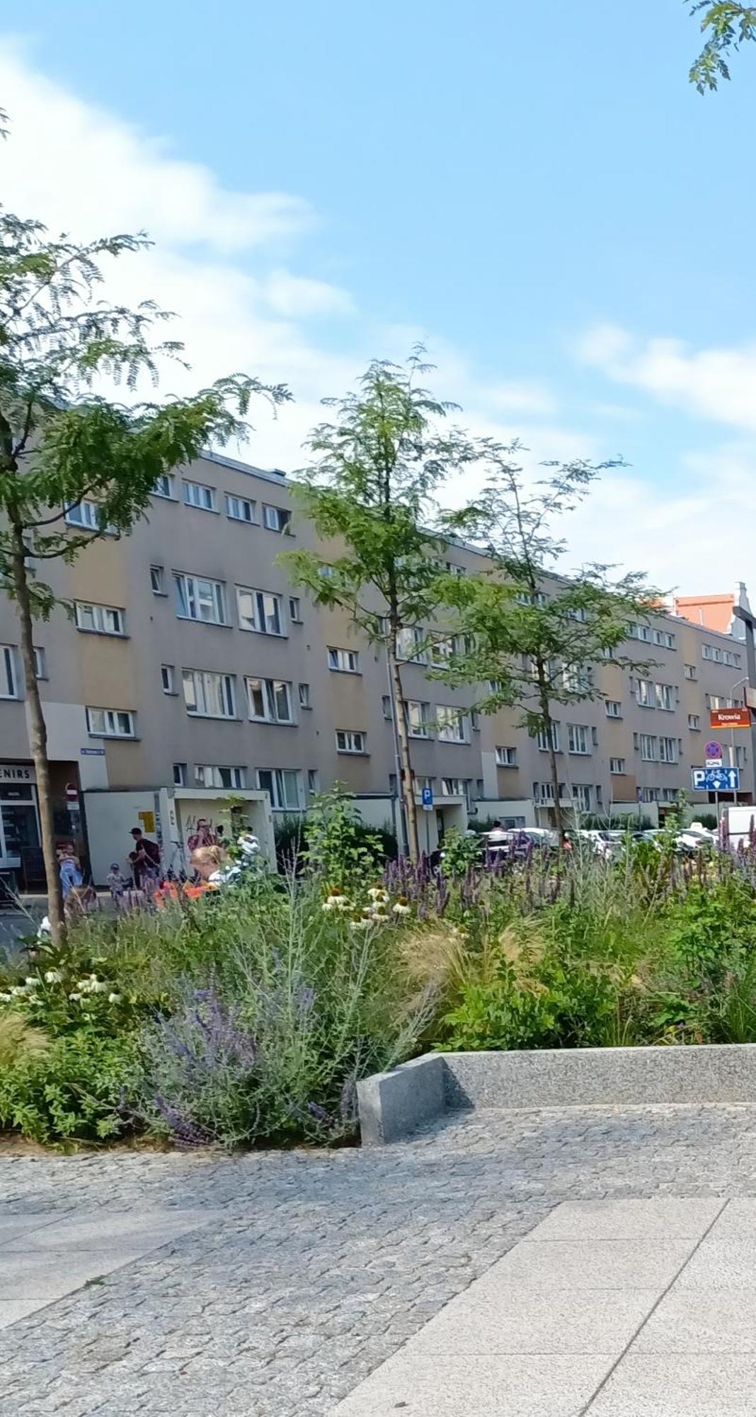 Kotlarska Apartment Вроцлав Екстериор снимка