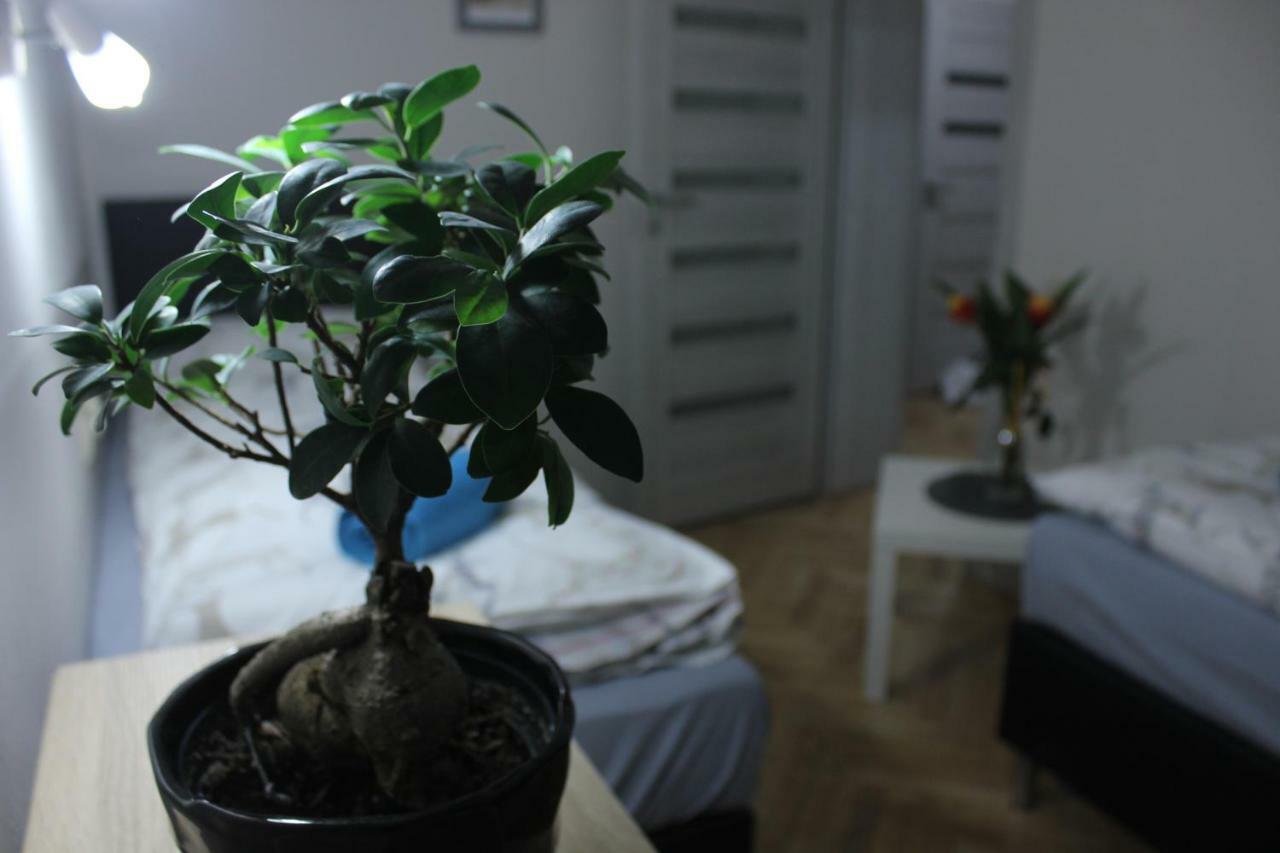 Kotlarska Apartment Вроцлав Екстериор снимка